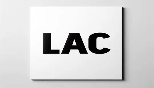 Look After Children (LAC)