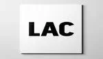 Look After Children (LAC)